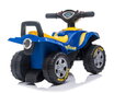 Taaperokärry lapsille lasten auto Quad Good Year sininen Sun Baby hinta ja tiedot | Vauvan lelut | hobbyhall.fi