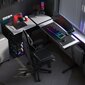 Desk Hero 6.0 RGB Valkoinen hinta ja tiedot | Tietokonepöydät ja työpöydät | hobbyhall.fi