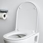 Laufen Pro Slim wc-istuin istuimella, hitaasti laskettava, valkoinen hinta ja tiedot | WC-istuimen lisätarvikkeet | hobbyhall.fi