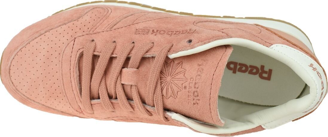 Naisten urheilukengät Reebok W Classic Nahka V69199, pinkki hinta ja tiedot | Naisten urheilu- ja vapaa-ajan kengät | hobbyhall.fi