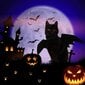 Halloween-asu lemmikille, lepakonsiivet hinta ja tiedot | Koiran vaatteet | hobbyhall.fi