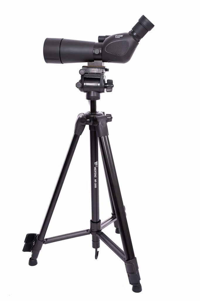 Focus Hawk 20-60X60 + TRIPOD 3950 hinta ja tiedot | Kiikarit | hobbyhall.fi