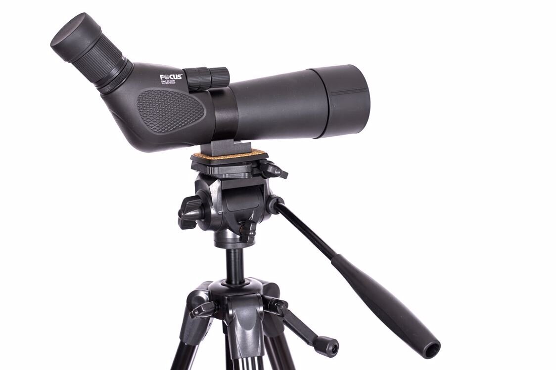 Focus Hawk 20-60X60 + TRIPOD 3950 hinta ja tiedot | Kiikarit | hobbyhall.fi