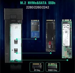 Reagle NVME SATA M.2 SSD HUB USB-C 3.1 M2 kotelo hinta ja tiedot | Kovalevyt | hobbyhall.fi