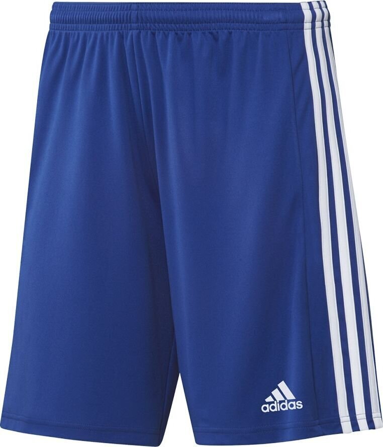 Adidas Squadra 21 shortsit, siniset hinta ja tiedot | Jalkapallovaatteet ja -varusteet | hobbyhall.fi