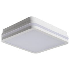 LED kattovalaisin BENO 24W NW L W valkoinen hinta ja tiedot | Kattovalaisimet | hobbyhall.fi