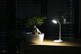 Montis LED MT044 pöytävalaisin 3 W Valkoinen hinta ja tiedot | Pöytävalaisimet | hobbyhall.fi