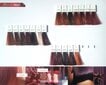 Hiusväri Wella Professionals Color Touch 60 ml, 66/44 Tummanvaalea Intense Copper hinta ja tiedot | Hiusvärit | hobbyhall.fi