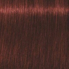 Hiusväri Schwarzkopf Professional Igora Royal Absolutes 60 ml, 5-80 Vaaleanruskea Red Nature hinta ja tiedot | Hiusvärit | hobbyhall.fi