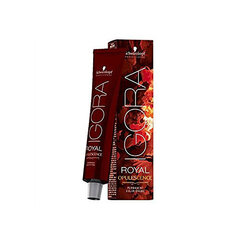 Hiusväri Schwarzkopf Igora Royal Opulescence 8.19, 60 ml hinta ja tiedot | Hiusvärit | hobbyhall.fi