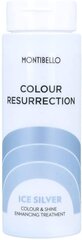 Montibello Color Resurrection Ice Silver -värinen hoitoaine hinta ja tiedot | Hoitoaineet | hobbyhall.fi