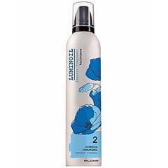 Hiusten rakennetta palauttava hoito Elgon Luminoil Instant Synergy, 300ml hinta ja tiedot | Hoitoaineet | hobbyhall.fi