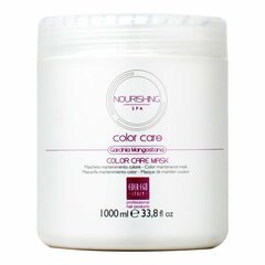 Hiusnaamio Nourishing Spa Color Care Everego Nourishing Spa Color Care, 1 l hinta ja tiedot | Naamiot, öljyt ja seerumit | hobbyhall.fi