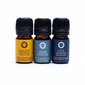 Eteeristen öljyjen sarja Song of India Wellness, 3x5 ml hinta ja tiedot | Eteeriset ja kosmeettiset öljyt | hobbyhall.fi