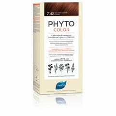 Hiusväri Phyto PhytoColor 7.43-rubio dorado cobrizo Ei ammoniakkia hinta ja tiedot | Hiusvärit | hobbyhall.fi