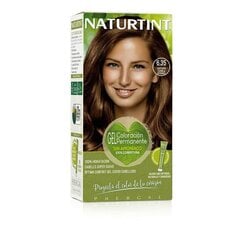 Pitkäkestoinen maali Naturtint Naturtint 6.35 castaño canela intenso Ei ammoniakkia, 170 ml hinta ja tiedot | Hiusvärit | hobbyhall.fi