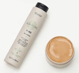 Rasvainen hiusnaamio Lakme Teknia Purify Clay Mask, 250 ml hinta ja tiedot | Naamiot, öljyt ja seerumit | hobbyhall.fi