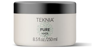 Rasvainen hiusnaamio Lakme Teknia Purify Clay Mask, 250 ml hinta ja tiedot | Naamiot, öljyt ja seerumit | hobbyhall.fi