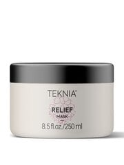 Herkän päänahan naamio Lakme Teknia Relief Mask, 250ml hinta ja tiedot | Hiusnaamiot, öljyt ja seerumit | hobbyhall.fi