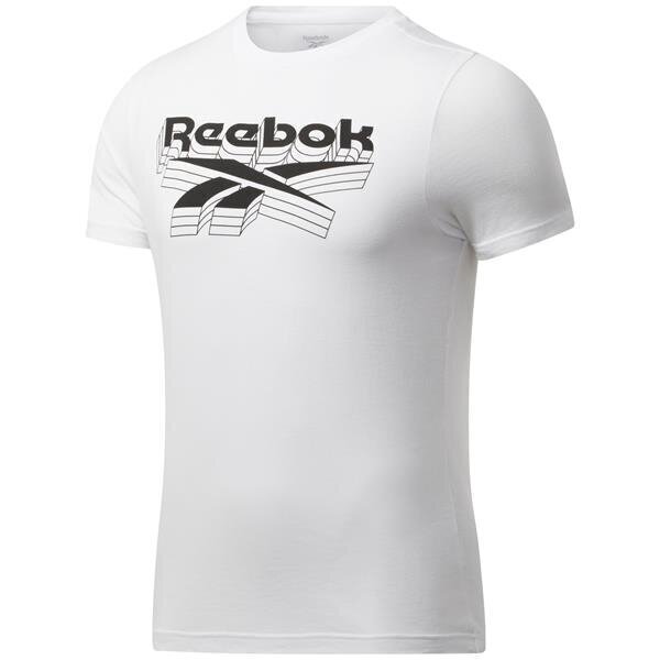 Miesten T-paita Reebok, valkoinen hinta ja tiedot | Miesten T-paidat | hobbyhall.fi