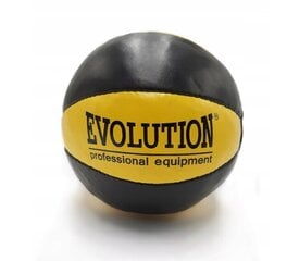 Treenipallo Evolution, 3kg hinta ja tiedot | Treenipallot | hobbyhall.fi