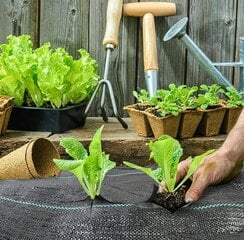 Agrokalvo rikkakasveja vastaan ​​JohnGreen, 100 x 0,8 m, 70 g/m² hinta ja tiedot | Puutarhatyökalut | hobbyhall.fi