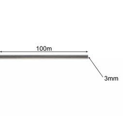 Trimmerin siima - 100m Bigstren hinta ja tiedot | Bigstren Piha ja puutarha | hobbyhall.fi