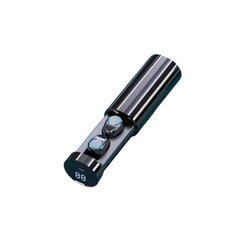 Langattomat kuulokkeet Chaoyuansu F10-2 30H type-c Bluetooth5.2 IPX5 hinta ja tiedot | Kuulokkeet | hobbyhall.fi