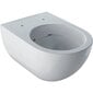 WC Geberit Acanto Rimfree Soft Close 500.600.01.2 / 500.605.01.2 hinta ja tiedot | WC-istuimet | hobbyhall.fi