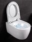 WC Geberit iCon Soft Close 204060000 / 574130000 hinta ja tiedot | WC-istuimet | hobbyhall.fi