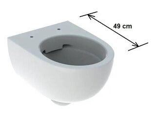 WC Geberit Selnova Compaq Rimfree Soft Close 49 cm hinta ja tiedot | WC-istuimet | hobbyhall.fi