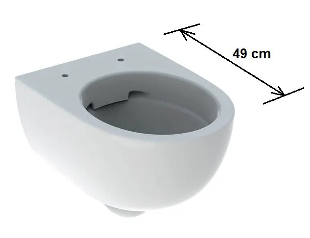 WC Geberit Selnova Compaq Rimfree 49 cm Delta hinta ja tiedot | WC-istuimet | hobbyhall.fi