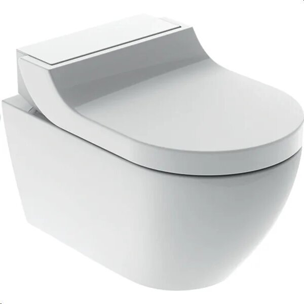 WC Geberit AcuaClean Tuma Classic Rimless Soft Close 146.091.11.1 hinta ja tiedot | WC-istuimet | hobbyhall.fi