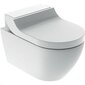 WC Geberit AcuaClean Tuma Classic Rimless Soft Close 146.091.11.1 hinta ja tiedot | WC-istuimet | hobbyhall.fi