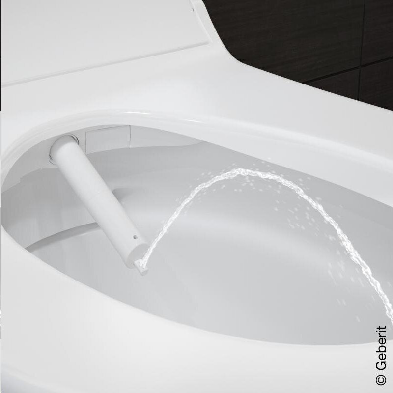 WC Geberit AcuaClean Tuma Classic Rimless Soft Close 146.091.11.1 hinta ja tiedot | WC-istuimet | hobbyhall.fi