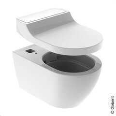 WC Geberit AcuaClean Tuma Classic Rimless Soft Close 146.091.11.1 hinta ja tiedot | WC-istuimet | hobbyhall.fi