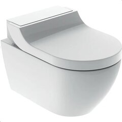 WC Geberit AcuaClean Tuma Comfort Rimless Soft Close 146.291.11.1 hinta ja tiedot | WC-istuimet | hobbyhall.fi