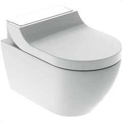 WC Geberit AcuaClean Tuma Comfort Rimless Soft Close 146.291.SI.1 hinta ja tiedot | WC-istuimet | hobbyhall.fi