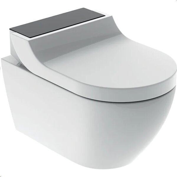 WC Geberit AcuaClean Tuma Comfort Rimless Soft Close 146.291.SJ.1 hinta ja tiedot | WC-istuimet | hobbyhall.fi