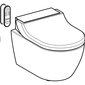 WC Geberit AcuaClean Tuma Comfort Rimless Soft Close 146.291.SJ.1 hinta ja tiedot | WC-istuimet | hobbyhall.fi