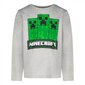 Paita Minecraft harmaa hinta ja tiedot | Poikien paidat | hobbyhall.fi