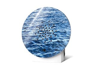 Oceanbox Sound Box (aaltonäkymä) hinta ja tiedot | Muut hauskat lahjaideat | hobbyhall.fi