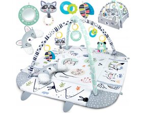 RicoKids interaktiivinen opetusmatto 110 x 100 cm hinta ja tiedot | Leikkimatot | hobbyhall.fi