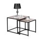 2 sohvapöydän setti, Loft design Modern Home hinta ja tiedot | Sohvapöydät | hobbyhall.fi