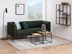 2 sohvapöydän setti, Loft design Modern Home hinta ja tiedot | Sohvapöydät | hobbyhall.fi