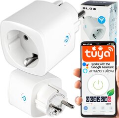 Puhalla Smart Home -älypistoke hinta ja tiedot | Kytkimet ja pistorasiat | hobbyhall.fi