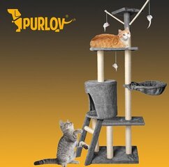 Purlov kissapuu 138 cm, harmaa hinta ja tiedot | Raapimispuut ja kiipeilypuut | hobbyhall.fi