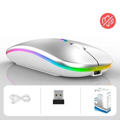 Langaton RGB-hiiri, hopea hinta ja tiedot | Hiiret | hobbyhall.fi