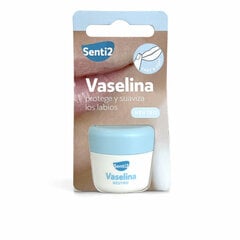 Vaseline Senti2 Neutral, 20 ml hinta ja tiedot | Huulipunat, huulikiillot ja huulirasvat | hobbyhall.fi