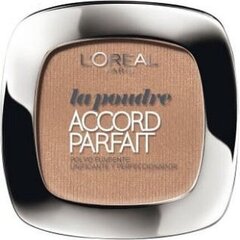 Kompakti puuteri Accord Perfect L'Oreal Make Up hinta ja tiedot | Meikkivoiteet ja puuterit | hobbyhall.fi